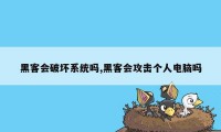 黑客会破坏系统吗,黑客会攻击个人电脑吗