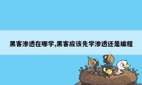 黑客渗透在哪学,黑客应该先学渗透还是编程