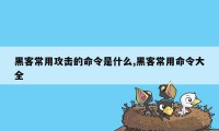 黑客常用攻击的命令是什么,黑客常用命令大全