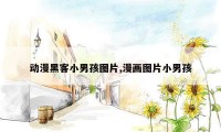 动漫黑客小男孩图片,漫画图片小男孩