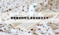 黑客要怎样学习,黑客到底怎么学