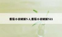 番茄小说破解5.2,番茄小说破解521