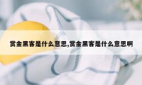 赏金黑客是什么意思,赏金黑客是什么意思啊