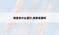 黑客有什么罪行,黑客有罪吗