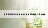 单人黑客代表什么生肖,单人黑客指什么生肖