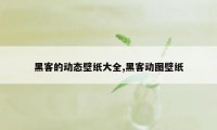 黑客的动态壁纸大全,黑客动图壁纸