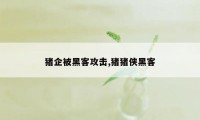 猪企被黑客攻击,猪猪侠黑客