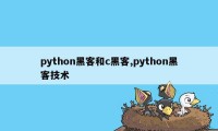 python黑客和c黑客,python黑客技术