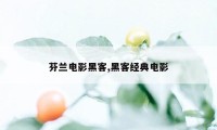 芬兰电影黑客,黑客经典电影