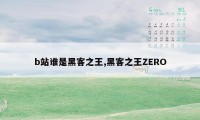 b站谁是黑客之王,黑客之王ZERO