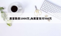 黑客勒索1000万,向黑客支付500万