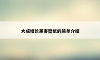 大成增长黑客壁纸的简单介绍