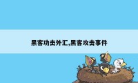 黑客功击外汇,黑客攻击事件