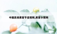 中国高级黑客节目视频,黑客小视频