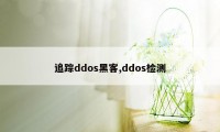 追踪ddos黑客,ddos检测