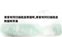 黑客如何扫描磁盘数据呢,黑客如何扫描磁盘数据呢苹果