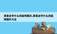 黑客必学什么技能呢图片,黑客必学什么技能呢图片大全