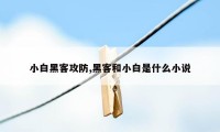 小白黑客攻防,黑客和小白是什么小说