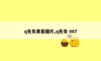 q先生黑客图片,q先生 007