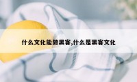 什么文化能做黑客,什么是黑客文化