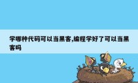 学哪种代码可以当黑客,编程学好了可以当黑客吗