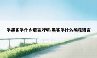 学黑客学什么语言好呢,黑客学什么编程语言