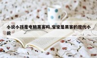 小说小孩是电脑黑客吗,宝宝是黑客的现代小说