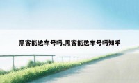 黑客能选车号吗,黑客能选车号吗知乎