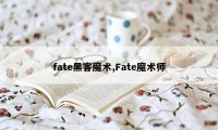 fate黑客魔术,Fate魔术师