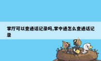 掌厅可以查通话记录吗,掌中通怎么查通话记录