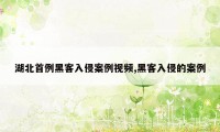 湖北首例黑客入侵案例视频,黑客入侵的案例