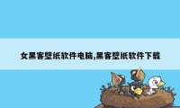 女黑客壁纸软件电脑,黑客壁纸软件下载