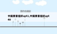 中国黑客组织apt1,中国黑客组织apt40