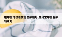 在哪里可以看支付宝邮箱号,支付宝哪里看邮箱账号