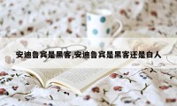 安迪鲁宾是黑客,安迪鲁宾是黑客还是白人