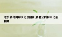 老公和狗狗聊天记录图片,和老公的聊天记录图片