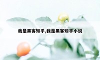 我是黑客知乎,我是黑客知乎小说