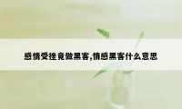 感情受挫竟做黑客,情感黑客什么意思