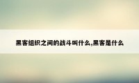 黑客组织之间的战斗叫什么,黑客是什么