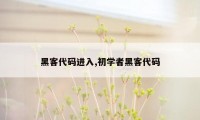 黑客代码进入,初学者黑客代码