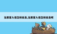 当黑客入侵怎样反击,当黑客入侵怎样反击呢