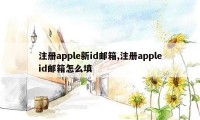 注册apple新id邮箱,注册appleid邮箱怎么填