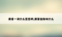 黑客一词什么意思啊,黑客俗称叫什么