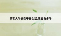 黑客大牛都在干什么活,黑客有多牛