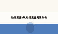 动漫黑客gif,动漫黑客男生头像