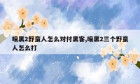 暗黑2野蛮人怎么对付黑客,暗黑2三个野蛮人怎么打