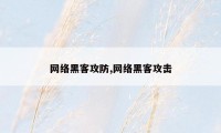 网络黑客攻防,网络黑客攻击