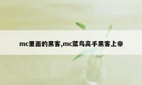 mc里面的黑客,mc菜鸟高手黑客上帝