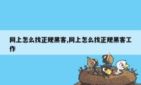 网上怎么找正规黑客,网上怎么找正规黑客工作