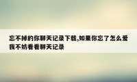 忘不掉的你聊天记录下载,如果你忘了怎么爱我不妨看看聊天记录